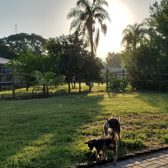 Meet your Posher, Agnieszka - Picture 6 of 8